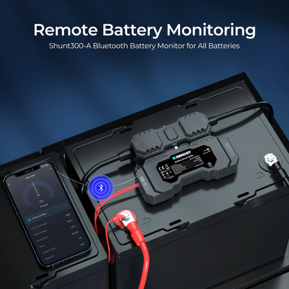 RENOGY CORE 300A Battery Shunt with Bluetooth