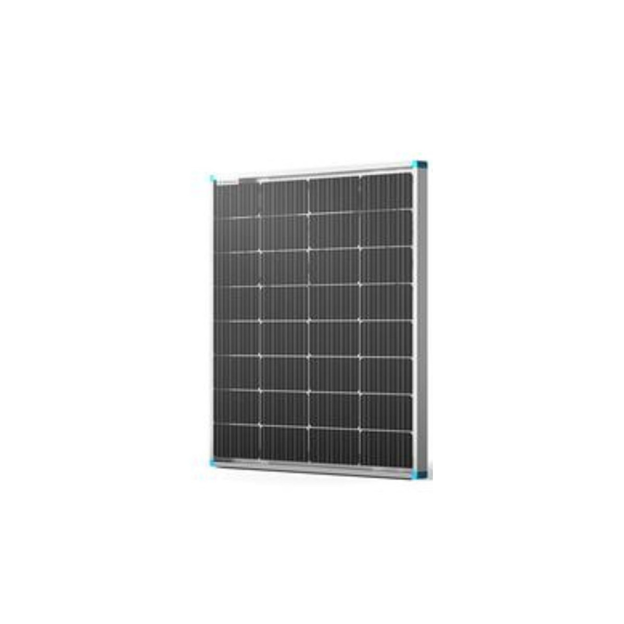 RENOGY PRO 115W Double-sided transparent backsheet solar panel